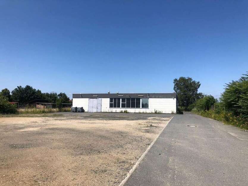 Halle in Mörfelden- Walldorf 3.400.000 € 800 m²
