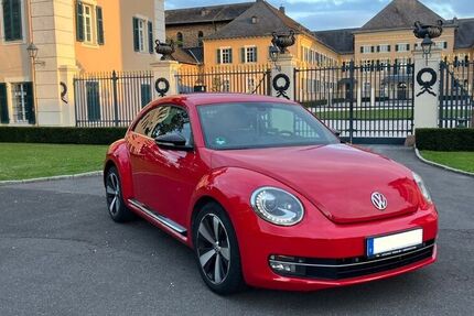VW Beetle
