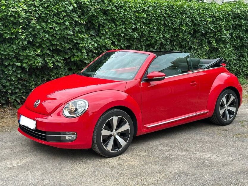Beetle