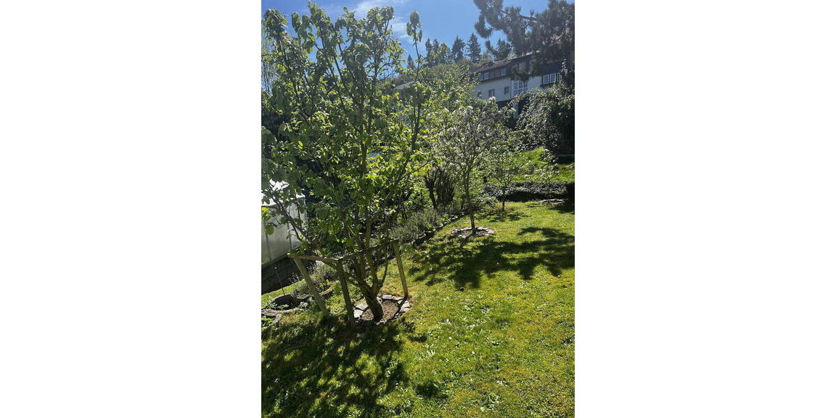 Einfamilienhaus idstein Eschenhahn - 1 Zimmer, 275 m&sup2;, 699.000&euro; | Angebot:26330509