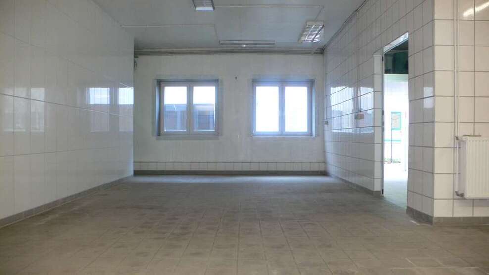 Halle in Mainz-Kastel 2.700 € 230 m²