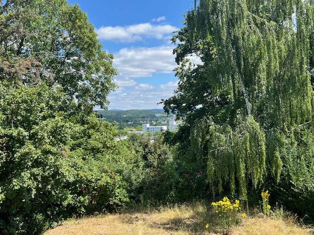 Einfamilienhaus Wiesbaden Dotzheim - 7 Zimmer, 155 m&sup2;, 879.000&euro; | Angebot:26879726