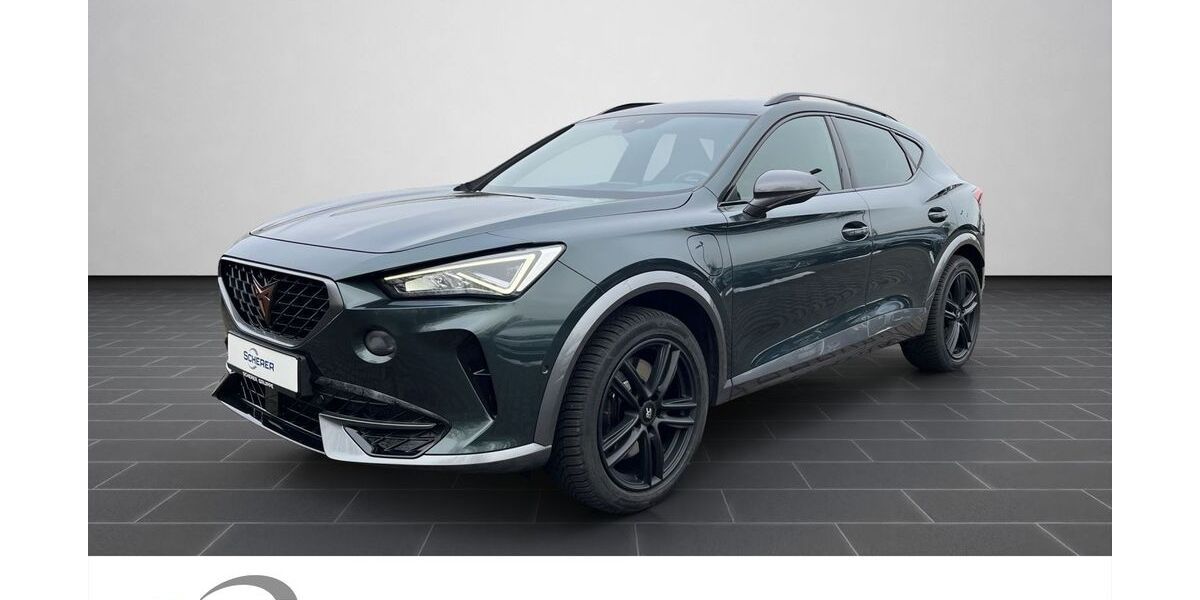 Cupra Formentor 51.613 km 24.980 &euro; Mainz 55129