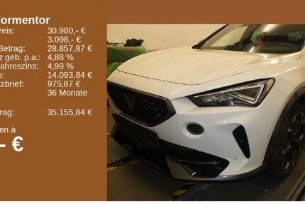 Cupra Formentor 48.450 km 30.980 € Mainz 55129