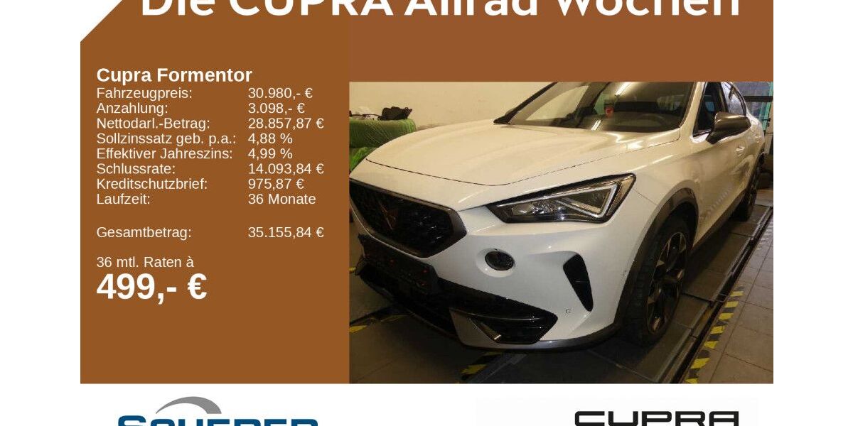 Cupra Formentor 48.450 km 30.980 € Mainz 55129