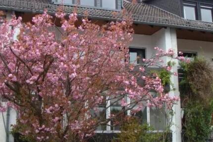 Haus Wiesbaden Bierstadt - 7 Zimmer, 178 m&sup2;, 485.000&euro; | Angebot:26162366