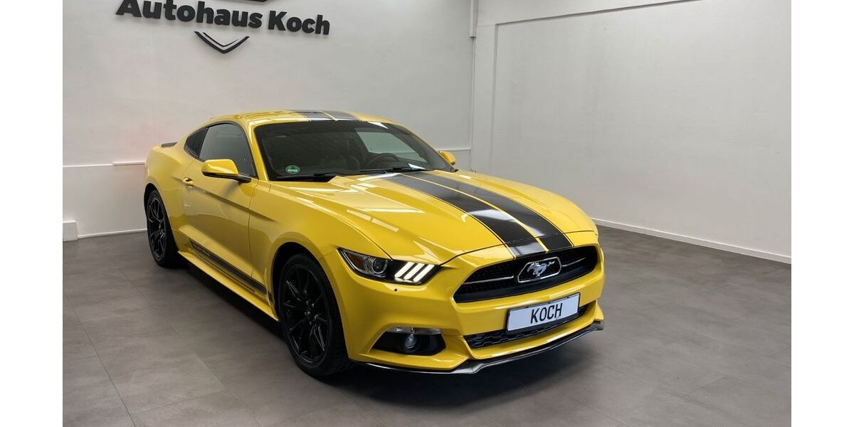 Ford Mustang 64.792 km 25.900 € Mainz 55129