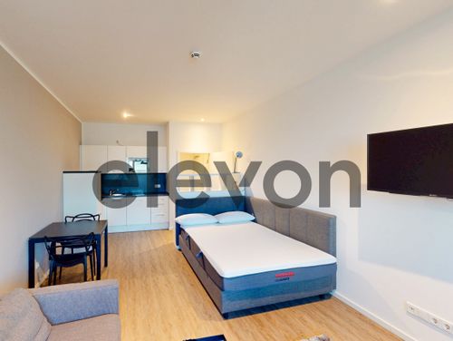 Etagenwohnung Mainz - 1 Zimmer, 30 m&sup2;, 670&euro; | Angebot:26560333