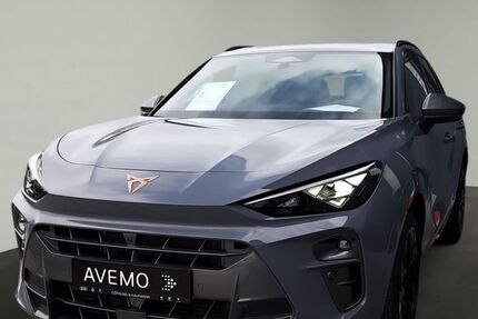 Cupra Terramar 11.000 km 48.500 &euro; Königstein 61462