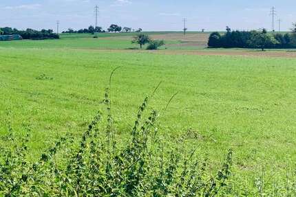 Grundstück Frankfurt am Main - 4.200.000&euro; | Angebot:24395978