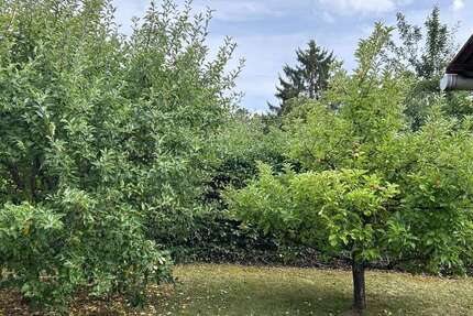 Grundstück Niedernhausen - 595.000&euro; | Angebot:25907240