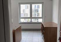 Wohnung zum Mieten in Wiesbaden 460 € 20 m²