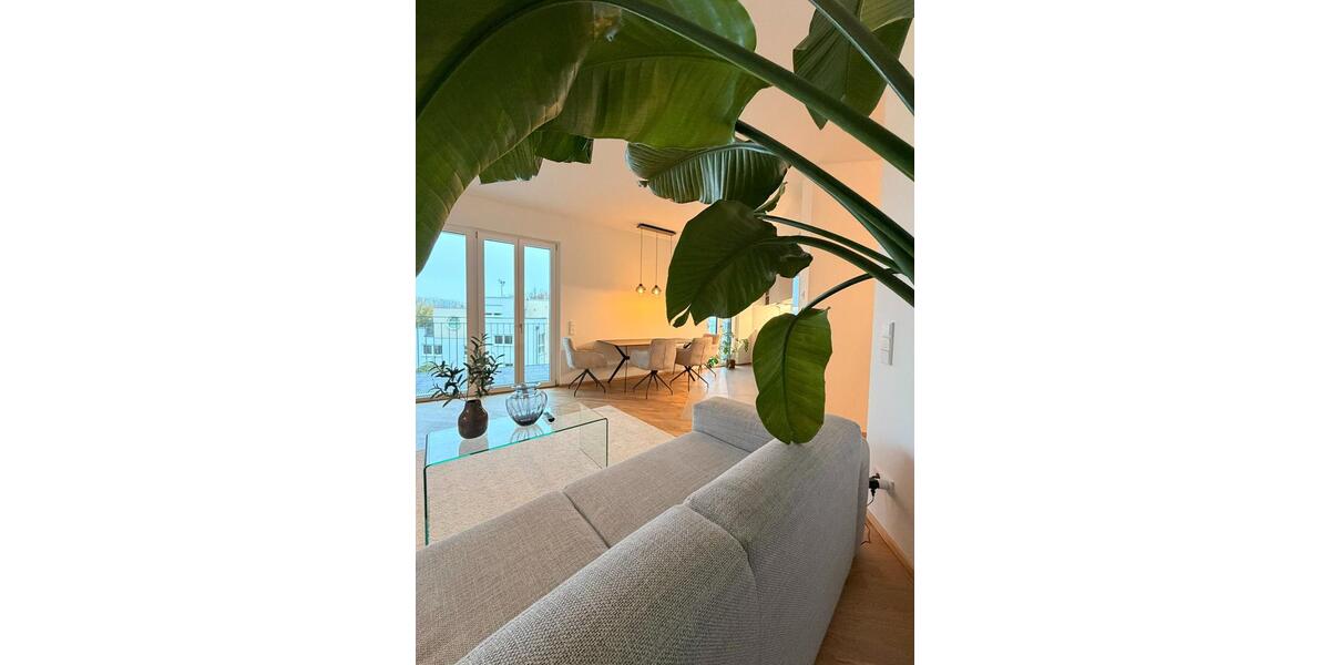 Fully Furnished Premium Apartment with Direct Rhine River Access 3 zimmer