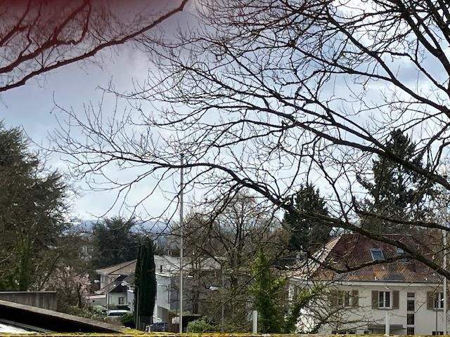 Bungalow Wiesbaden Nordost - 8 Zimmer, 192 m&sup2;, 1.255.000&euro; | Angebot:25820971