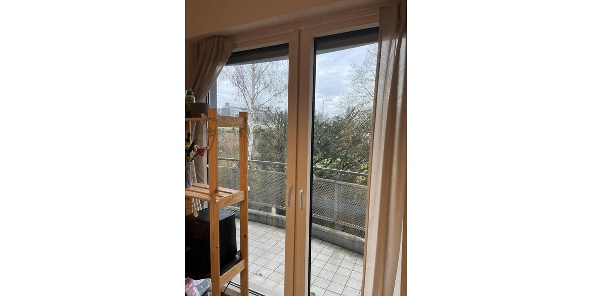 1-Zimmer-Apartment mit Balkon für Studenten in Geisenheim 1 zimmer