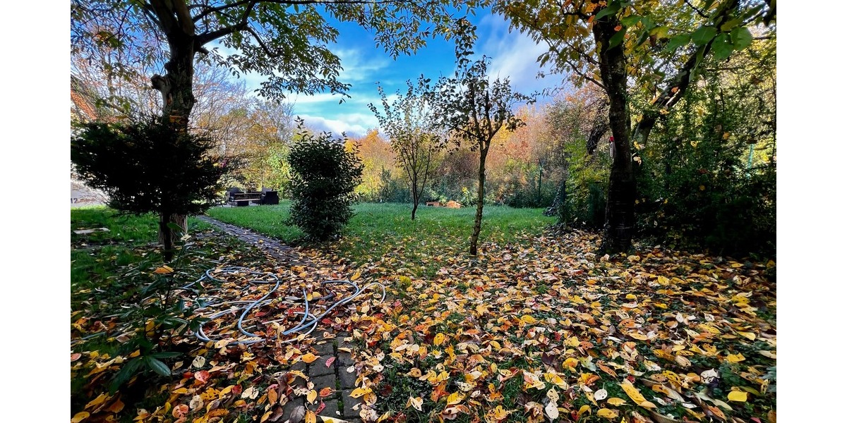 Gartenparadies in der Stadt – charmantes Haus in Wiesbaden - Reihenendhaus Wiesbaden Südost | Angebot:26177084