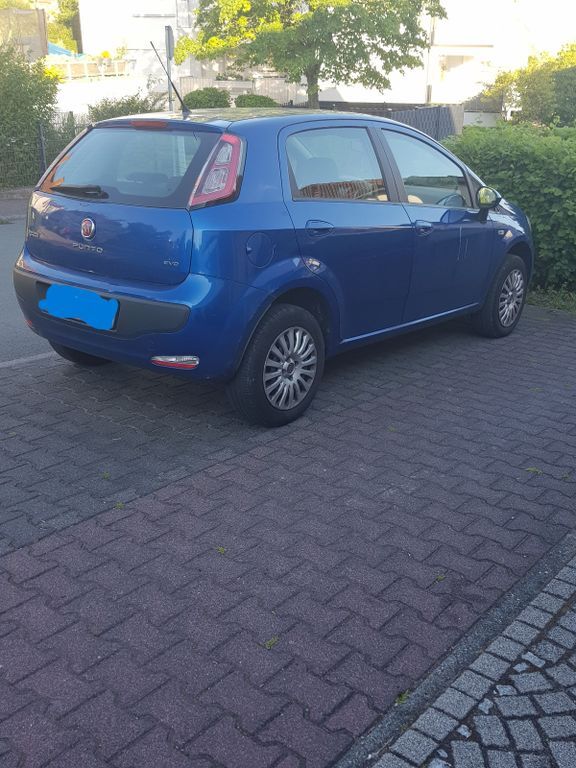 Punto Evo