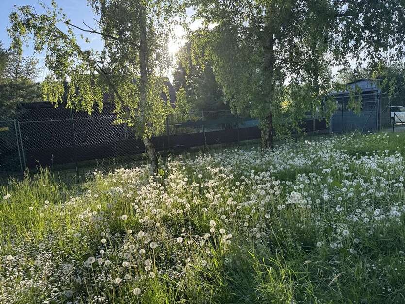 Grundstück zu verkaufen in Eltville Martinsthal 499.000 € 890 m²