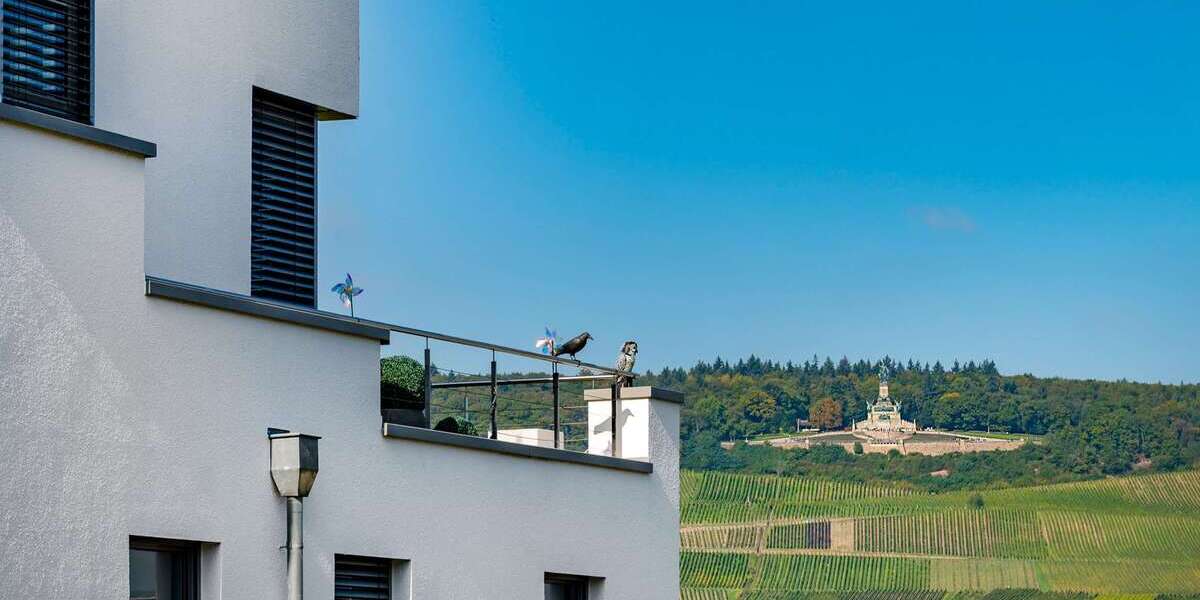 Einfamilienhaus Bingen am Rhein - 5 Zimmer, 369 m&sup2;, 2.495.000&euro; | Angebot:26198975