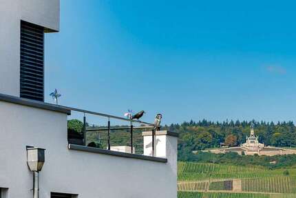Haus Bingen am Rhein - 5 Zimmer, 369 m&sup2;, 2.495.000&euro; | Angebot:26198975