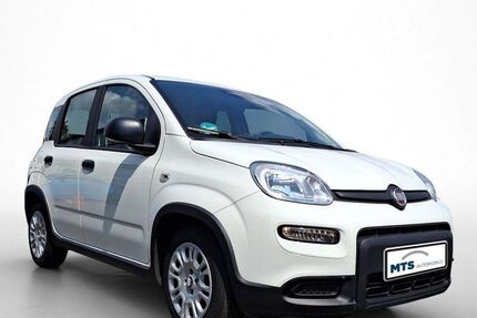 Fiat Panda 12.264 km 11.990 &euro; Oberursel 61440