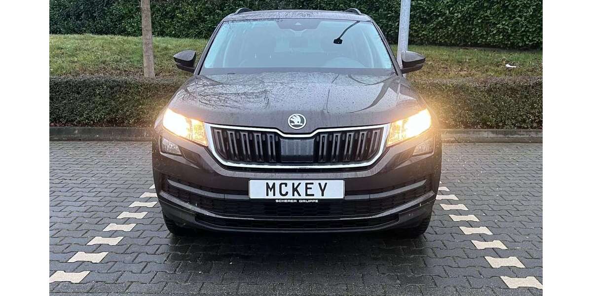 Skoda Kodiaq 210.300 km 15.500 &euro; Saulheim 55291