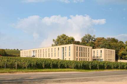 Wohnung zum Mieten in Oestrich-Winkel 525 € 33 m² 1 zimmer