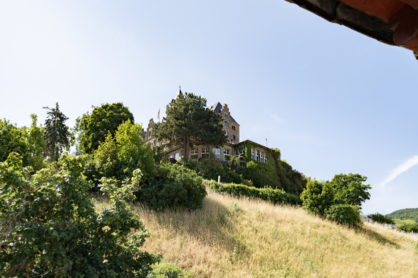 Liebhaberhäuschen an der Burg Klopp 4 zimmer