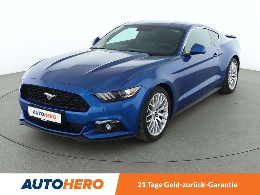 Mustang