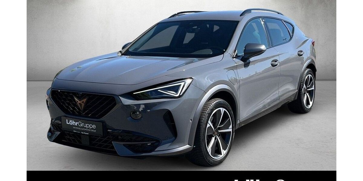 Cupra Formentor 18.054 km 27.980 &euro; Mainz 55120