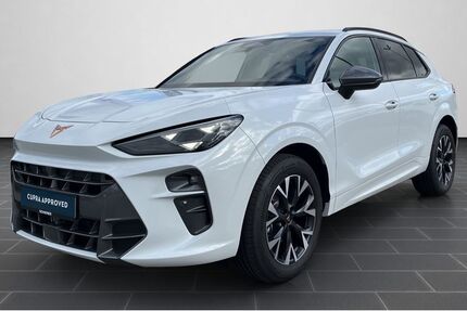 Cupra Terramar 8.107 km 35.730 € Bingen / Rhein 55411