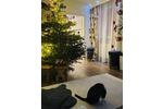 Einfamilienhaus Mainz Mombach - 5 Zimmer, 250 m&sup2;, 1.000.000&euro; | Angebot:25793735