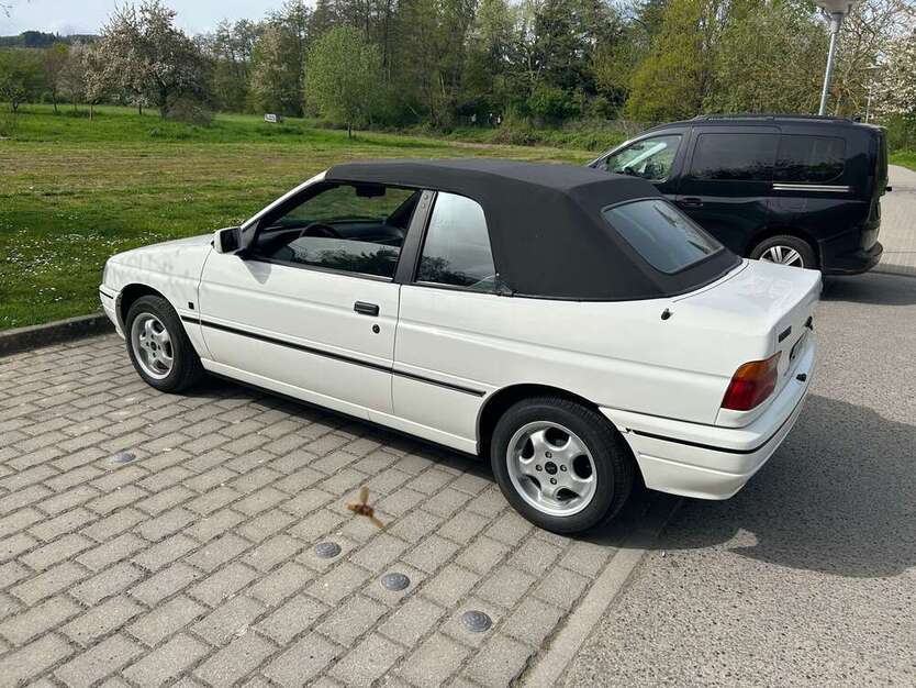 Escort