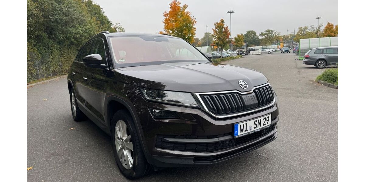 Skoda Kodiaq 210.000 km 17.500 € Nordenstadt 65205