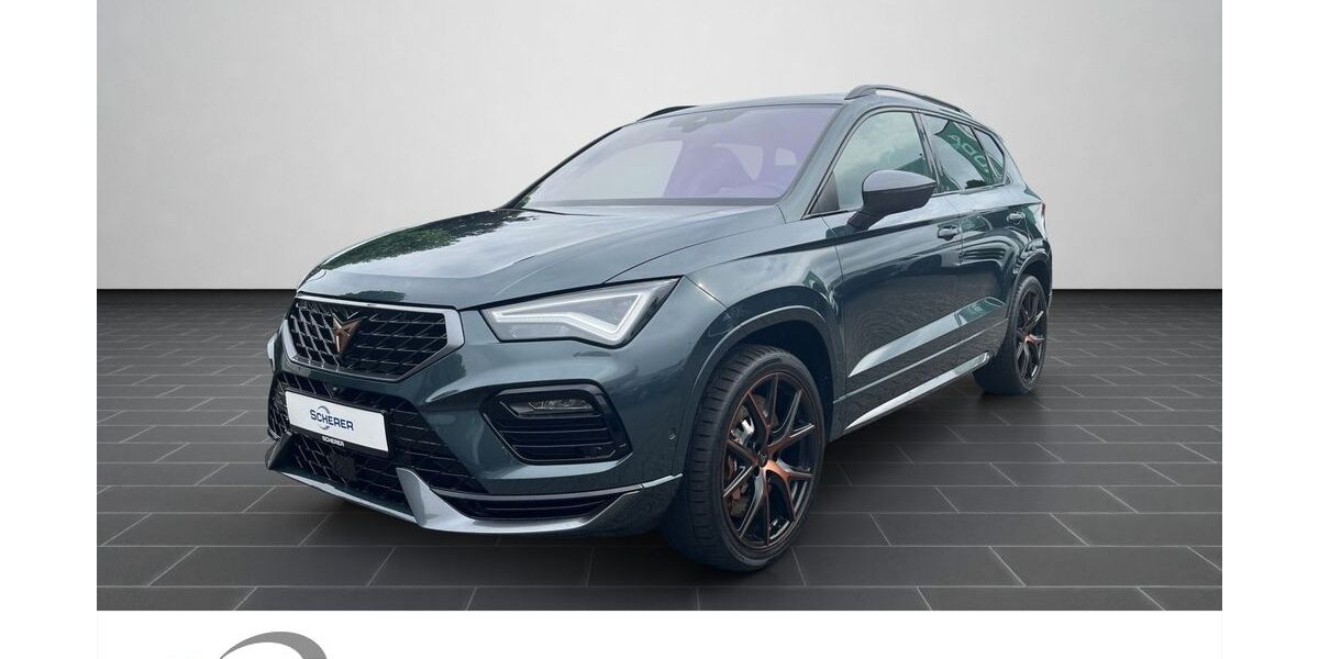Cupra Ateca 91.529 km 29.980 &euro; Mainz 55129