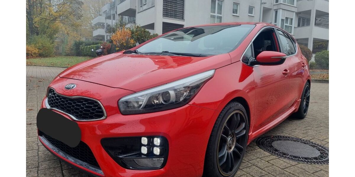 Kia ceed / Ceed 178.000 km 8.500 € Wiesbaden 65187