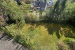 FRANK SCHÄFER IMMOBILIEN - EFH in Saulheimer Toplage: ca. 200m² Wfl. & außergewöhnliches Grundstück - Einfamilienhaus Saulheim / Nieder-Saulheim Saulheim | Angebot:26659997