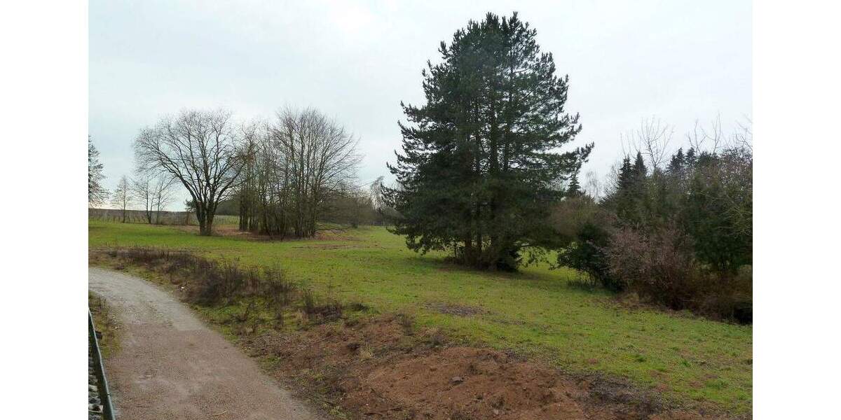 Reihenendhaus Kiedrich - 5 Zimmer, 213 m&sup2;, 2.226&euro; | Angebot:25674102