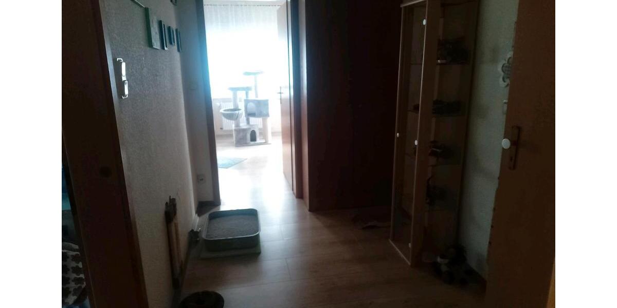 Einfamilienhaus Trebur - 4 Zimmer, 100 m&sup2;, 379.000&euro; | Angebot:25046065