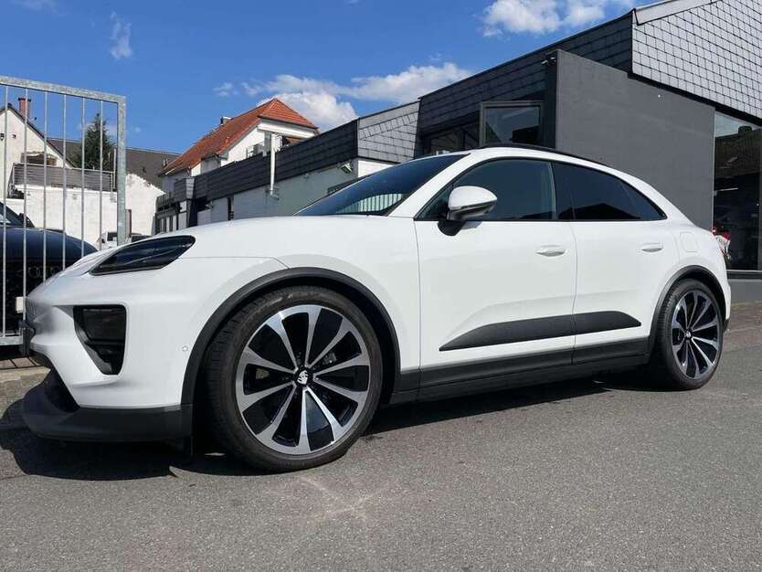 Macan