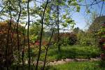 Grundstück Schmitten im Taunus Oberreifenberg - 865.000&euro; | Angebot:25778783