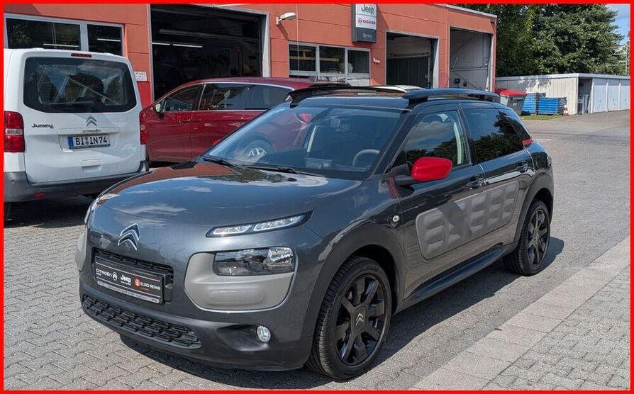 C4 Cactus
