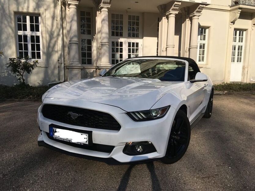 Mustang