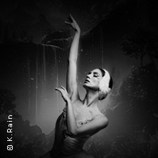 Grand Classic Ballet - Schwanensee - Jenseits der Bühne mit live Streichquartett 21.10.2026 Kurhaus / Großer Saal