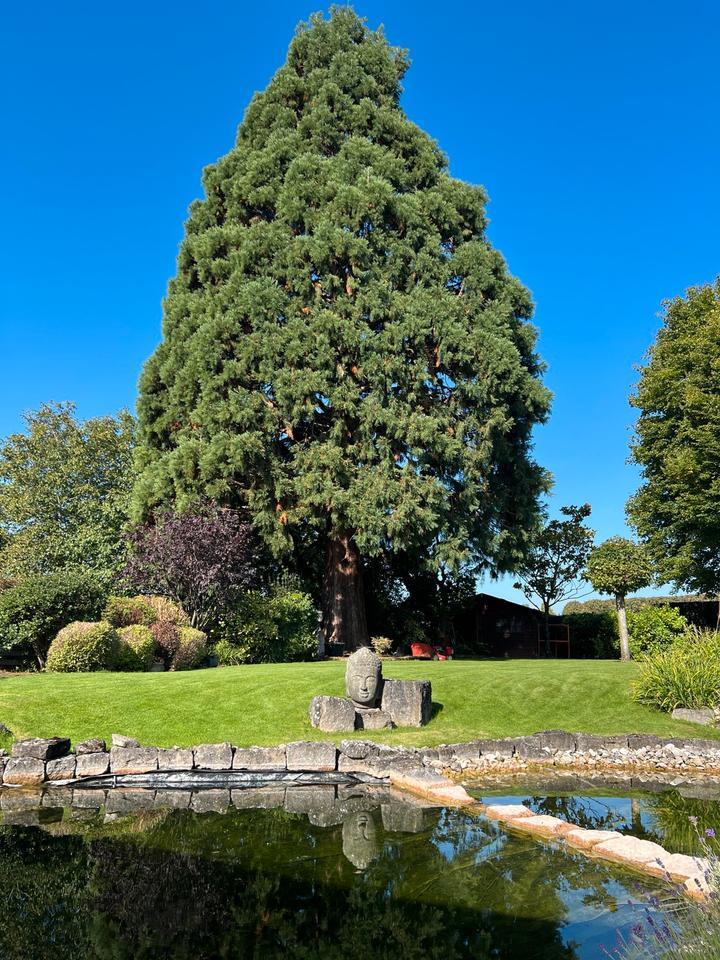 Haus mit Garten zimmer