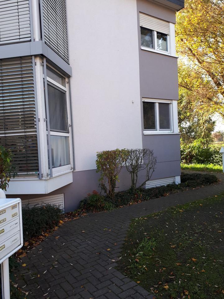 1-Zimmer Souterrain Wohnung in Rüss.-Bauschheim zimmer