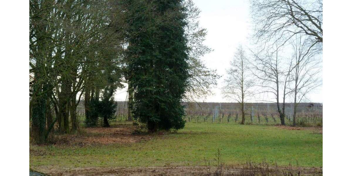 Reihenendhaus Kiedrich - 5 Zimmer, 213 m&sup2;, 2.226&euro; | Angebot:25674102