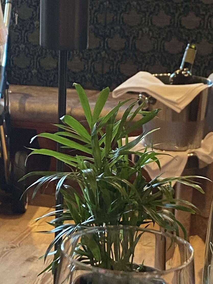 Gastronomie in Kelkheim 1.150.000 € 635 m² zimmer