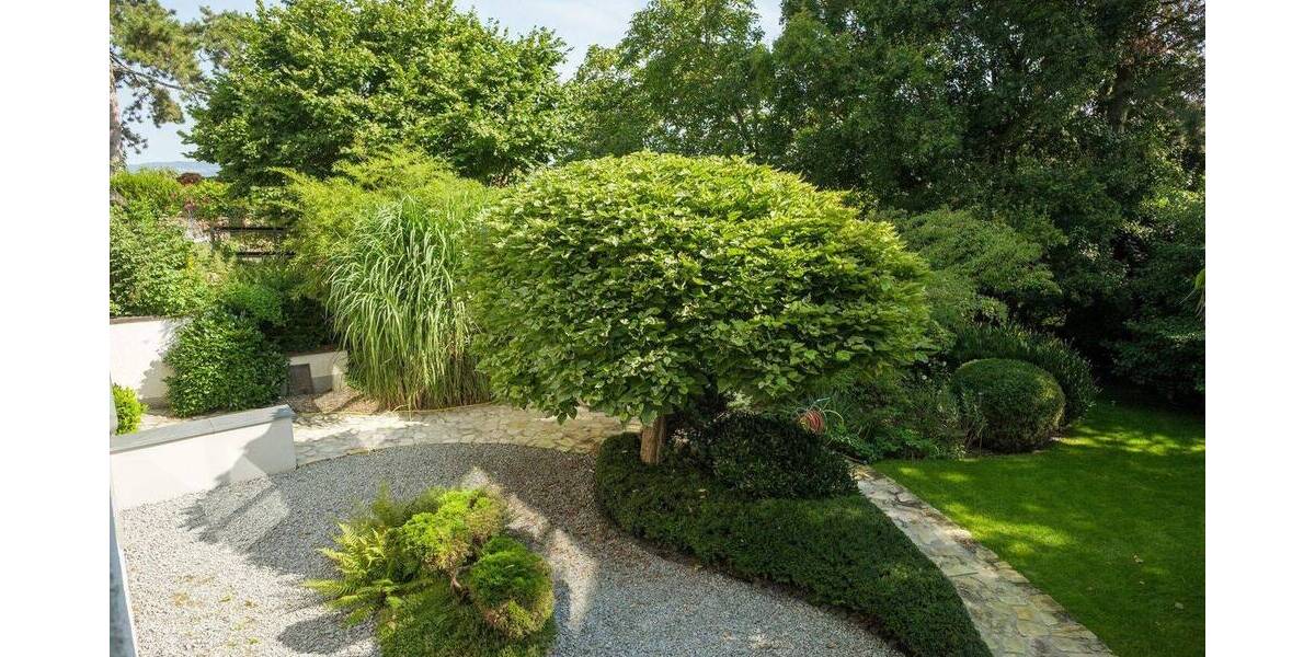 Einfamilienhaus Ingelheim Wackernheim - 7 Zimmer, 228 m&sup2;, 925.000&euro; | Angebot:26044468
