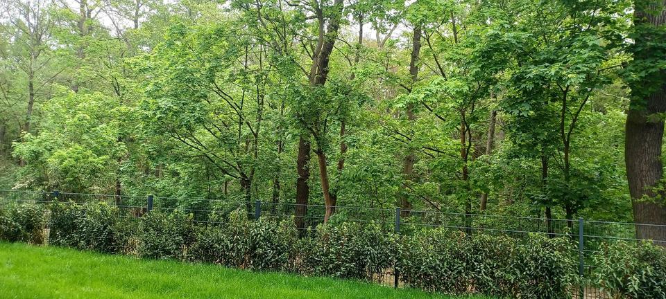 Luxus Pur mit viel Grün herum - 5 Zi. EG. mit Garten, Klimaanlage und hochwertigen Ausstattung. 5 zimmer